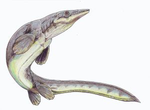 This is not the lizard you're looking for. Platecarpus. Wikimedia.