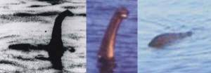 Nessie-montage-Tetrapod-Zoology-600-px-tiny-July-2013