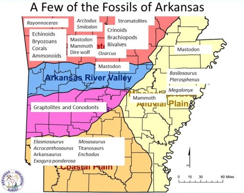 Arkansas Geologicl Survey regional map, annotated with reported fossils.