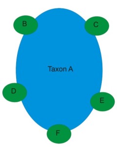 Peripheral isolates. Taxon A is the original species. B-F are new species that evolved from the original species due to adaptation for the particular environments in that area. The original species is usually more of a generalist, able to survive in many environments.